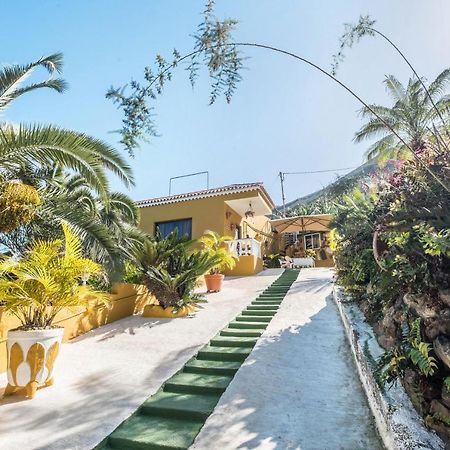 Finca Alejandrina La Guancha 外观 照片