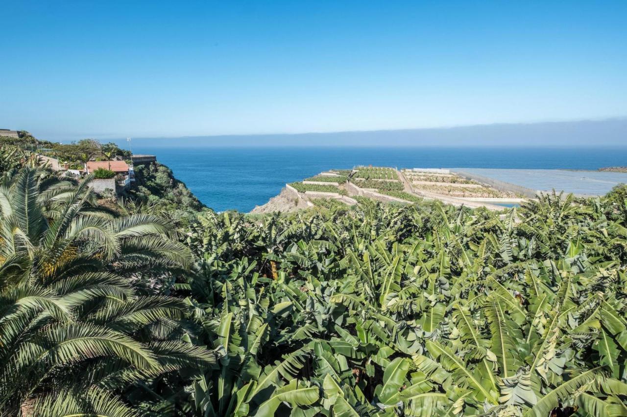 Finca Alejandrina La Guancha 外观 照片