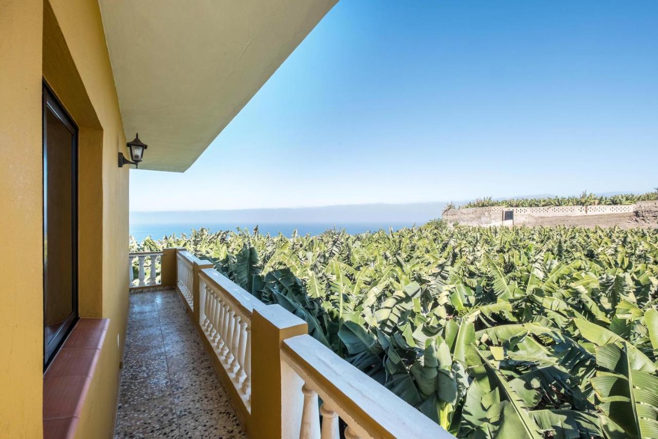 Finca Alejandrina La Guancha 外观 照片